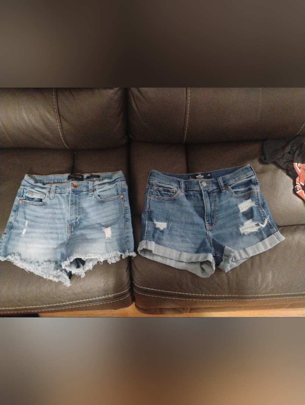 Kendall+Kylie (Hollister) Shorts